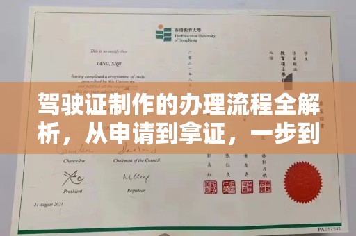 驿城驾驶证制作的办理流程全解析，从申请到拿证，一步到位！